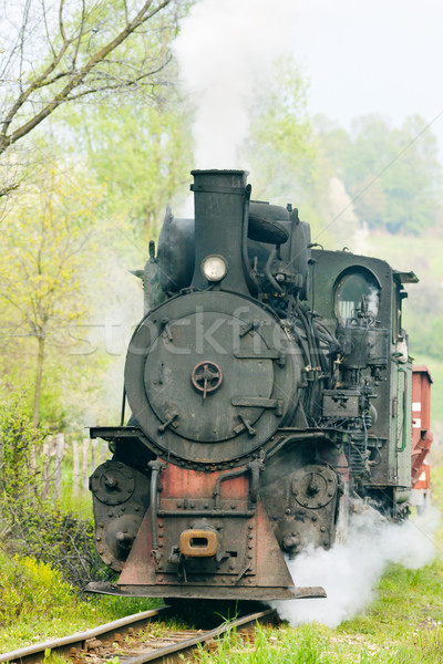 Schmal Kaliber Eisenbahn Europa Dampf Stock foto © phbcz