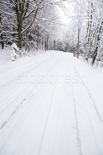 snowy road, Czech Republic Stock photo © phbcz