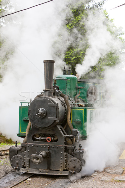 steam locomotive, Museum of Kysuce village, Vychylovka, Slovakia Stock photo © phbcz
