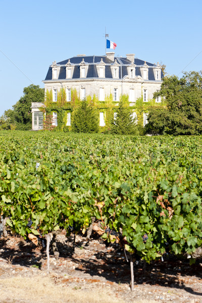 Chateau de la Tour, By, Bordeaux Region, France Stock photo © phbcz