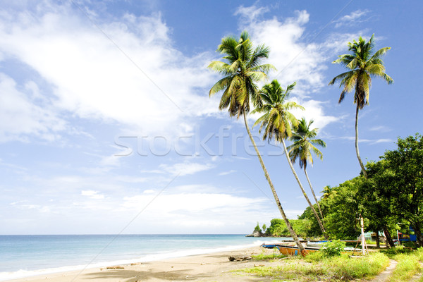 Duquesne Bay, Grenada Stock photo © phbcz