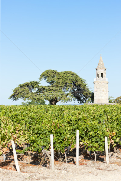 Stock fotó: LA · turné · Bordeau · régió · Franciaország