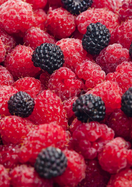 raspberries and blackberries Stock photo © phbcz