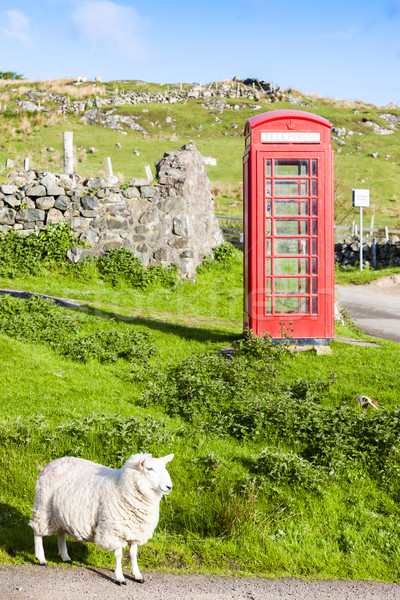 telephone booth with sheep, Clashnessie, Highlands, Scotland Stock photo © phbcz