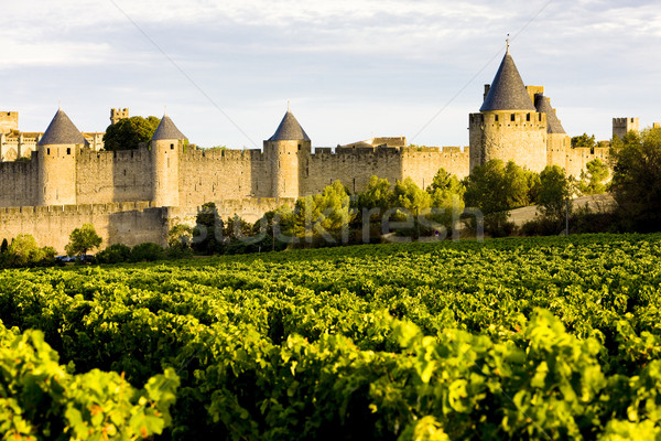 Carcassonne, Languedoc-Roussillon, France Stock photo © phbcz