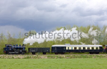 Stock photo: tourist railway, Downpatrick, County Down, Northern Ireland
