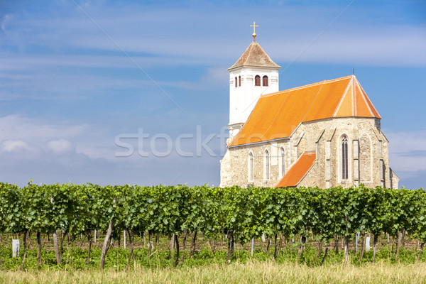 church with vineyard, Kirchenberg, Lower Austria, Austria Stock photo © phbcz