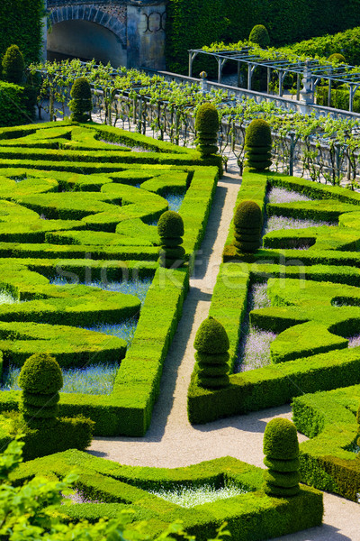 Villandry Castle's garden, Indre-et-Loire, Centre, France Stock photo © phbcz