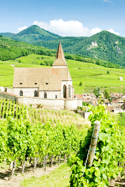 Hunawihr, Alsace, France Stock photo © phbcz