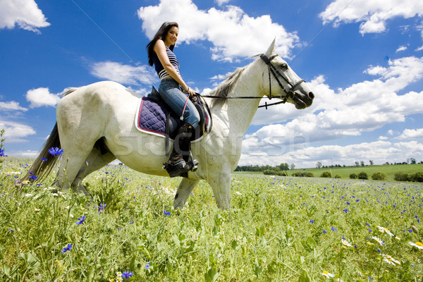 equestrian on horseback Stock photo © phbcz