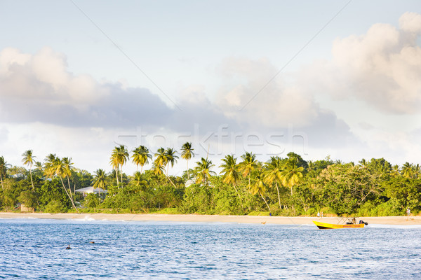 Turtle Beach, Tobago Stock photo © phbcz