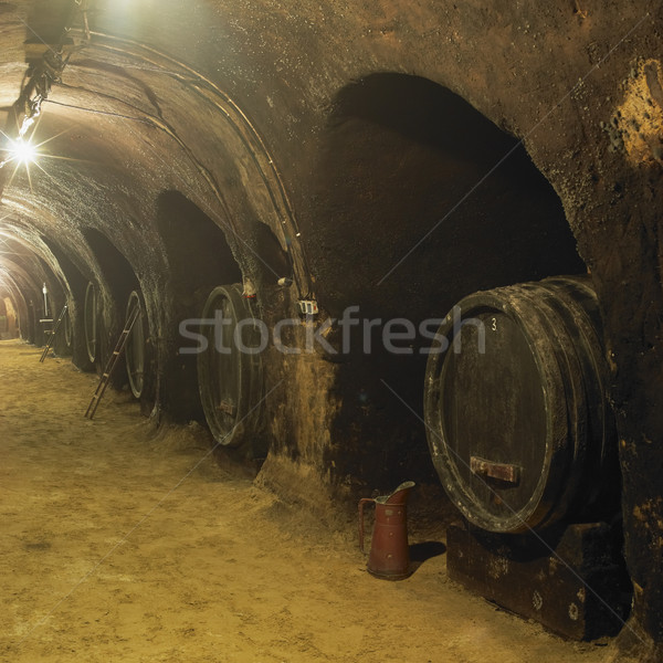 Piwnica na wino winnicy Czechy Europie zbiornika baryłkę Zdjęcia stock © phbcz