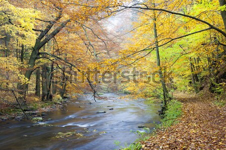 Foto stock: Rio · outono · República · Checa · água · floresta · natureza