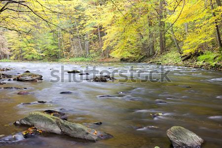 Stock photo: Metuje river in autumn, Czech Republic