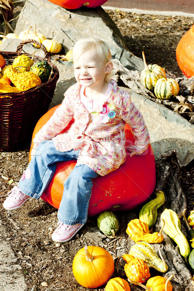 little girl with pumpkins Stock photo © phbcz