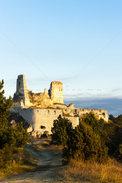 ruins of Cachtice Castle, Slovakia Stock photo © phbcz