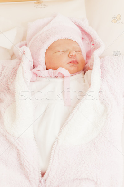 portrait of a newborn baby girl Stock photo © phbcz