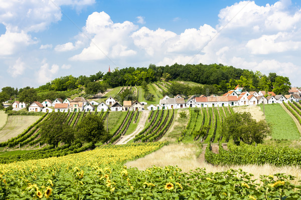 wine cellars with vineyards, Galgenberg, Lower Austria, Austria Stock photo © phbcz