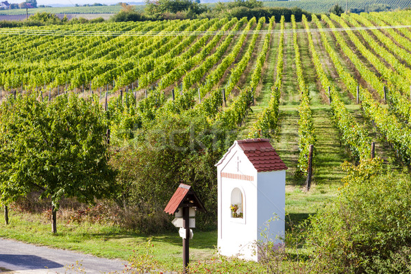 God's torture near Hnanice with autumnal vineyard, Southern Mor Stock photo © phbcz