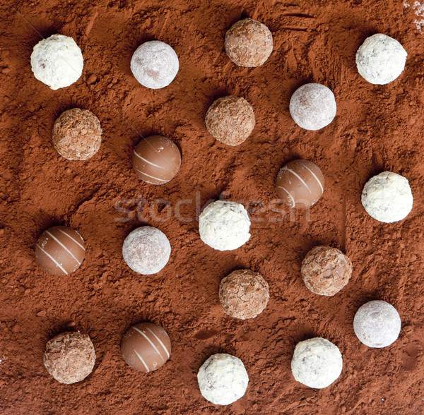 pralines in cocoa Stock photo © phbcz