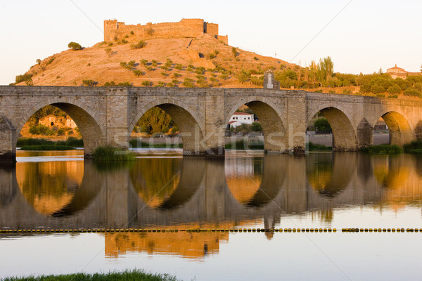 Medellin, Badajoz Province, Extremadura, Spain Stock photo © phbcz