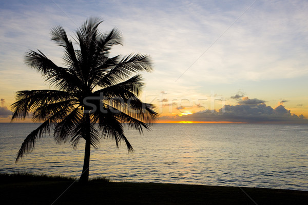 sunset over Caribbean Sea, Barbados Stock photo © phbcz
