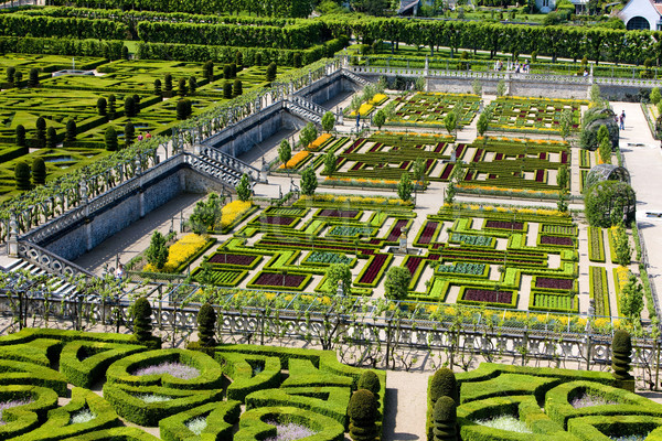 Villandry Castle's garden, Indre-et-Loire, Centre, France Stock photo © phbcz