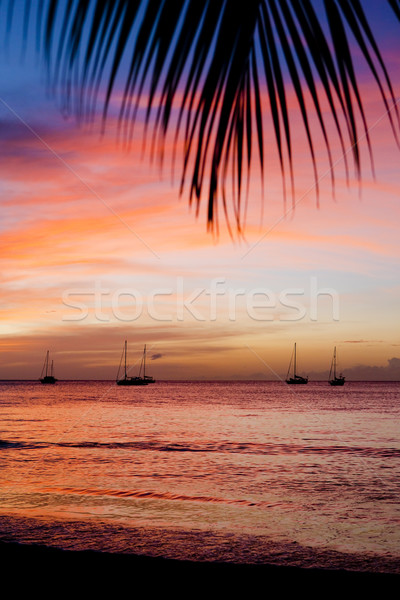 sunset over the Caribbean Sea, Grand Anse Bay, Grenada Stock photo © phbcz