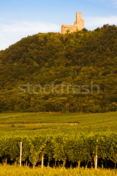 castle Ortenbourg, Alsace, France Stock photo © phbcz