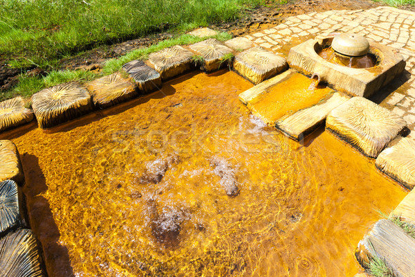 Primavera natureza reserva República Checa água estância termal Foto stock © phbcz