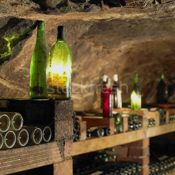 wine cellar, Bily sklep rodiny Adamkovy, Chvalovice, Czech Repub Stock photo © phbcz