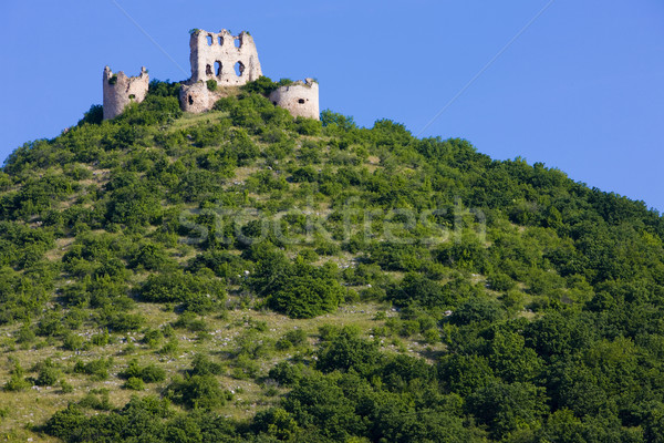 ruins of Turniansky Castle, Slovakia Stock photo © phbcz