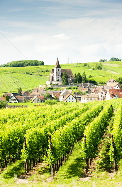 Hunawihr, Alsace, France Stock photo © phbcz