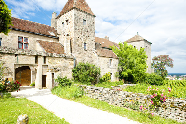 Gevrey-Chambertin Castle, Cote de Nuits, Burgundy, France Stock photo © phbcz