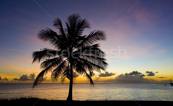 sunset over Caribbean Sea, Barbados Stock photo © phbcz