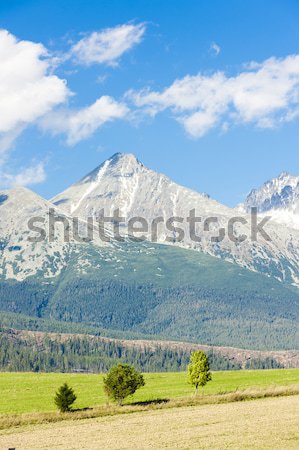 Krivan Mountain and Western part of High Tatras, Slovakia Stock photo © phbcz