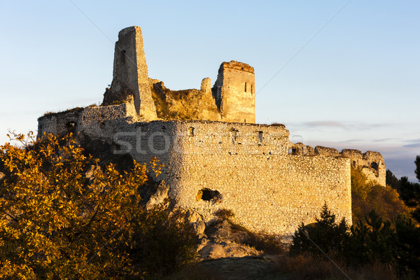 Ruinen Burg Slowakei Gebäude Architektur Europa Stock foto © phbcz