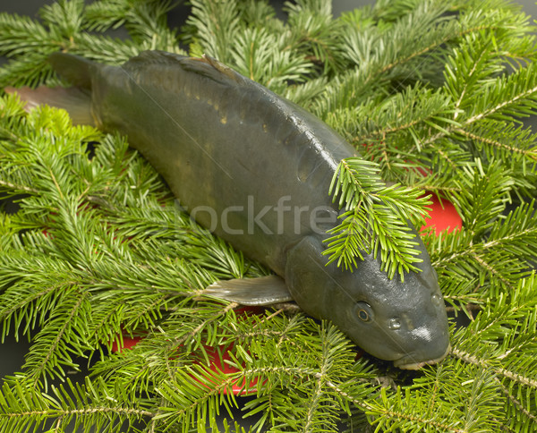 Czech Christmas tradition (Christmas carp) Stock photo © phbcz