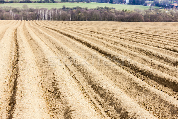 Stock foto: Landschaft · Bereich · Tschechische · Republik · Natur · Land · Boden