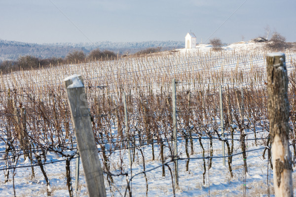 [[stock_photo]]: Hiver · vignoble · sud · République · tchèque · bâtiment · neige