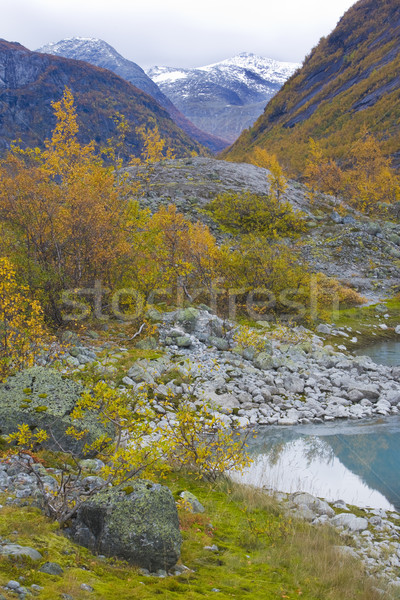 Jostedalsbreen National Park, Norway Stock photo © phbcz
