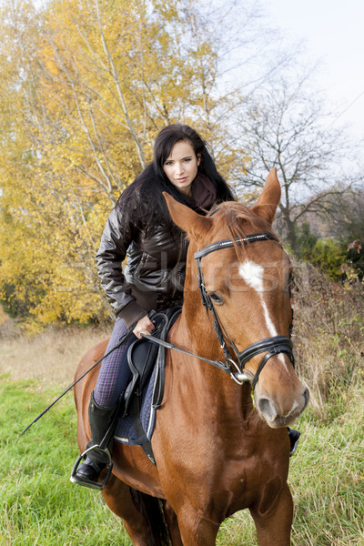 Lovas lóháton őszi természet nők ló Stock fotó © phbcz