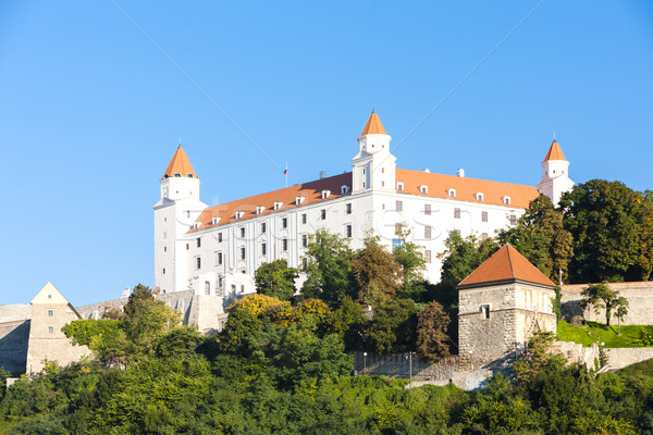 Bratislava kale Slovakya şehir seyahat mimari Stok fotoğraf © phbcz