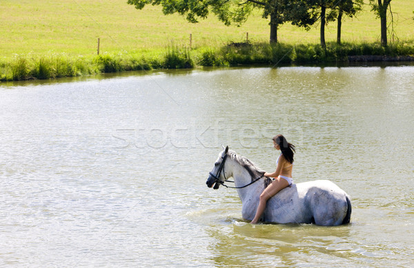 Lovas lovaglás víz nő ló bikini Stock fotó © phbcz