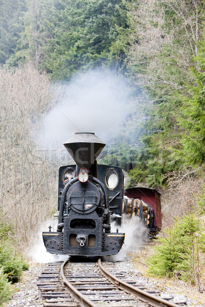 steam train, Ciernohronska Railway, Slovakia Stock photo © phbcz