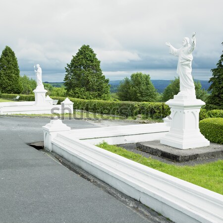 аббатство Ирландия скульптуры Открытый за пределами Сток-фото © phbcz