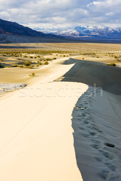 Stovepipe Wells sand dunes, Death Valley National Park, Californ Stock photo © phbcz