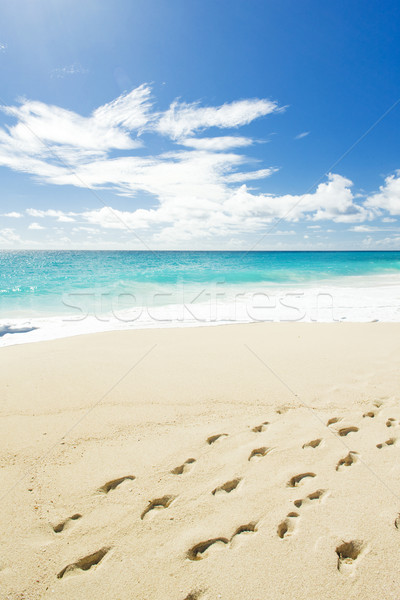Barbados Karib tájkép tenger nyár homok Stock fotó © phbcz