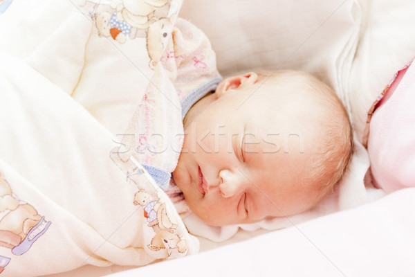 portrait of a newborn baby girl Stock photo © phbcz