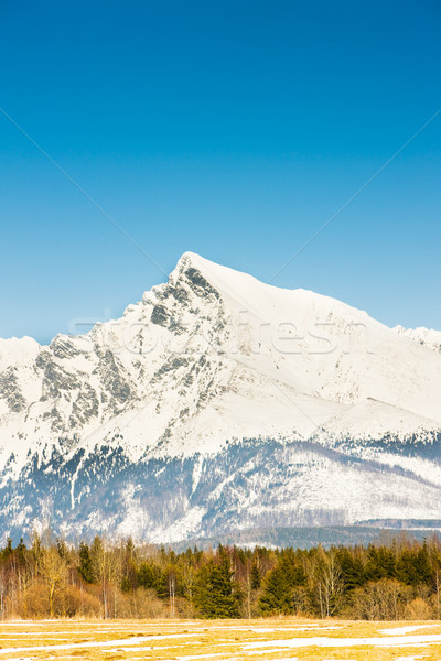 Krivan, Vysoke Tatry (High Tatras), Slovakia Stock photo © phbcz